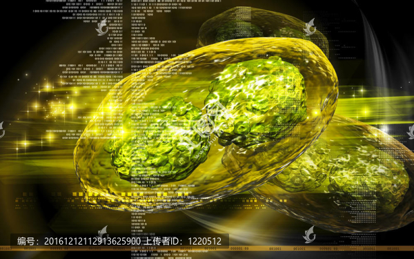 痘病毒