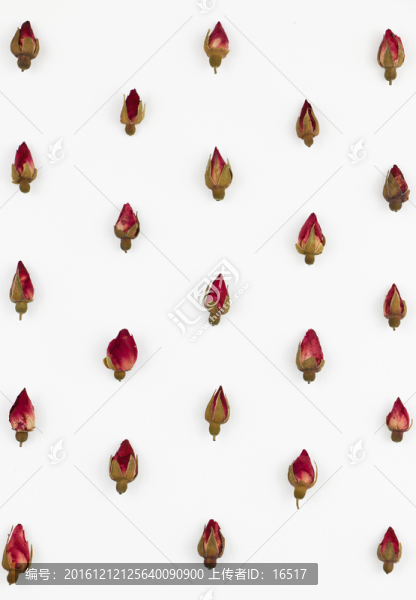 玫瑰花苞,干花