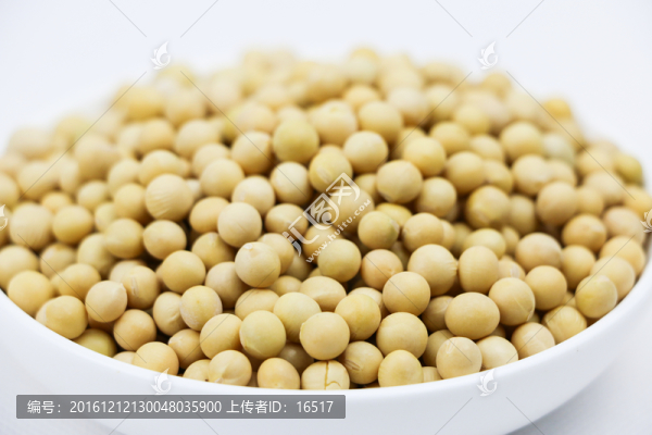 黃豆特寫