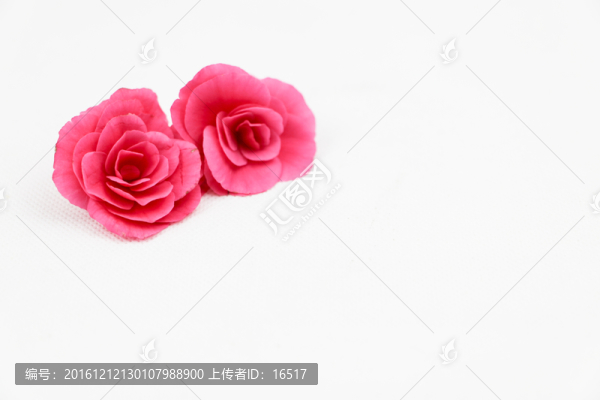 玫瑰海棠