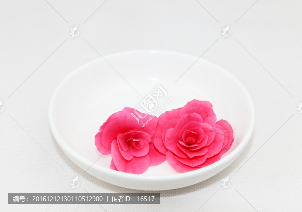 白碟里的玫瑰海棠