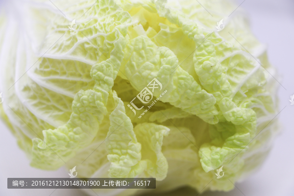 白菜葉特寫