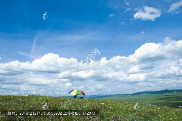 草原風(fēng)景