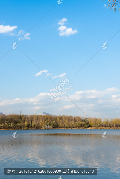 樹林在湖邊,延慶風景,延慶農場