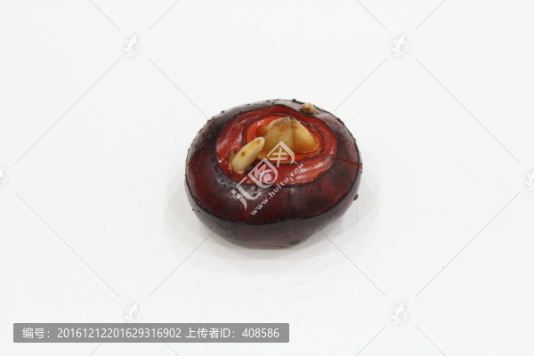 荸薺,新鮮荸薺