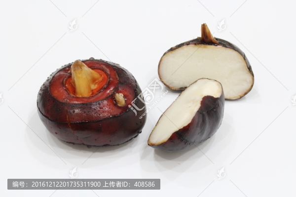 荸薺,新鮮荸薺