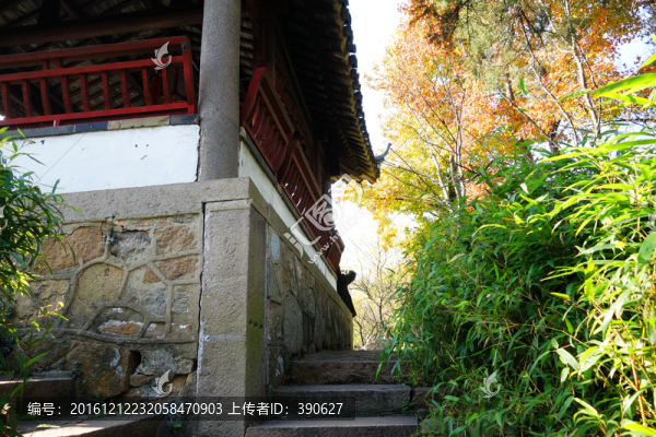 拙政園小景