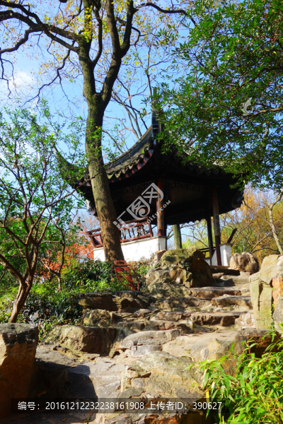拙政園小景