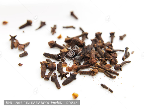 白背景肉桂干