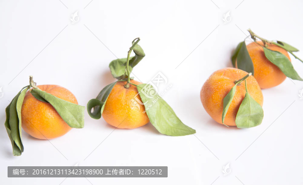 橘子分離