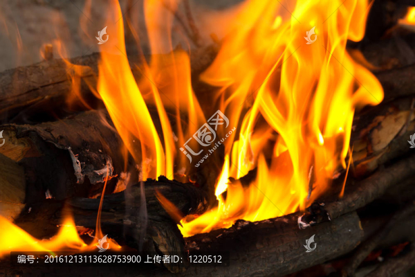 火燒；燒烤樹上的樹枝