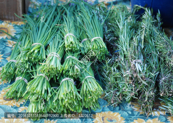 韭菜；在農(nóng)貿(mào)市場(chǎng)羅斯瑪麗
