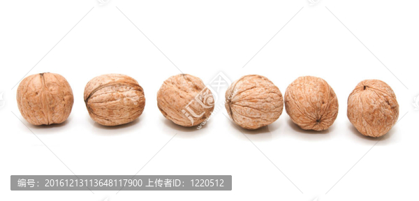 白底核桃