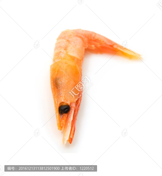 白底紅凍蝦