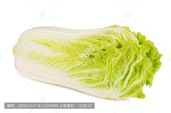 大白菜