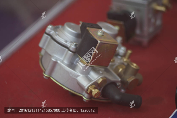 2012中國天然氣汽車