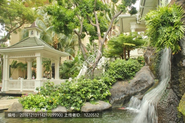 美麗的熱帶花園