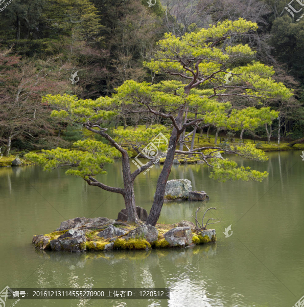 日本式庭園