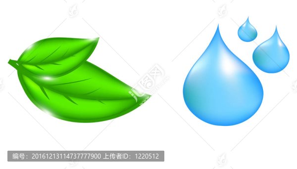 水滴和植物圖標(biāo)。插畫