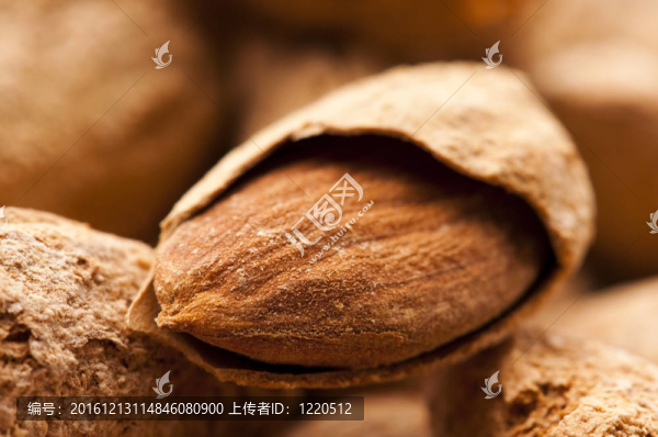 甜杏仁仁