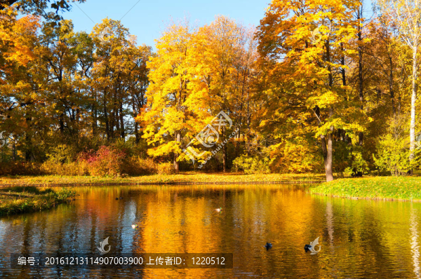 秋天的公園