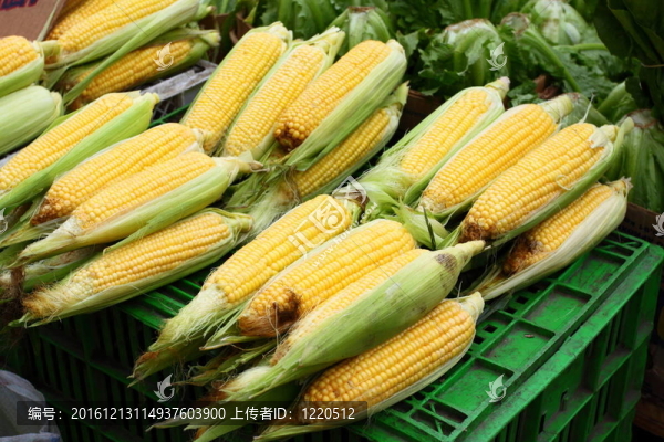 當?shù)厥袌錾系男迈r水果和蔬菜
