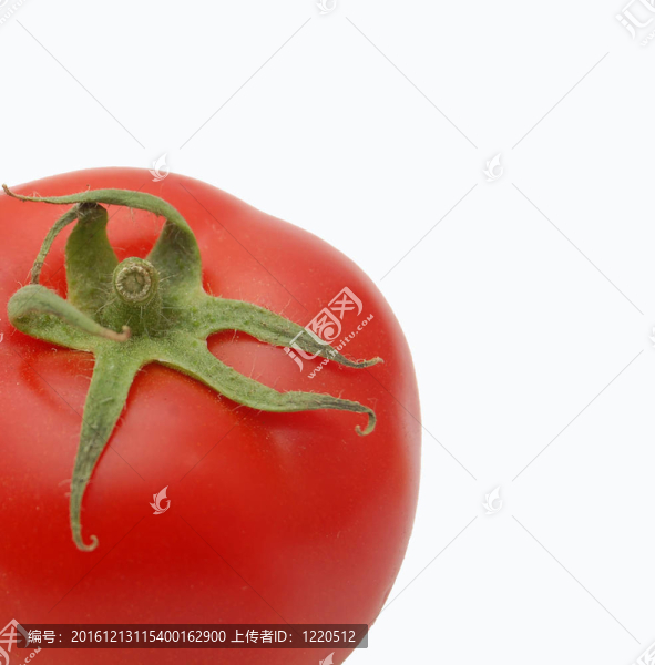 番茄