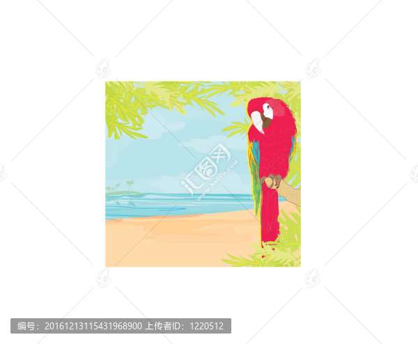 五彩繽紛的鸚鵡鳥(niǎo)