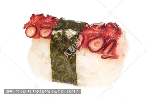 日本壽司與肉章魚在白色背景
