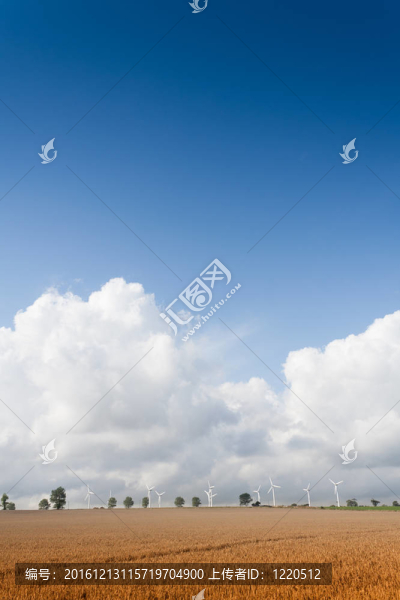 風(fēng)電場(chǎng)和農(nóng)作物在溫特；Norfolk；英國(guó)。