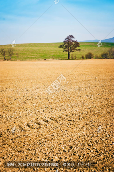 農(nóng)業(yè)landscapeagricultural景觀