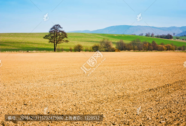農(nóng)業(yè)landscapeagricultural景觀