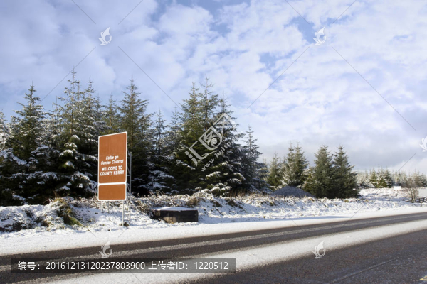 歡迎光臨雪中凱麗標(biāo)志