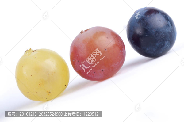 葡萄