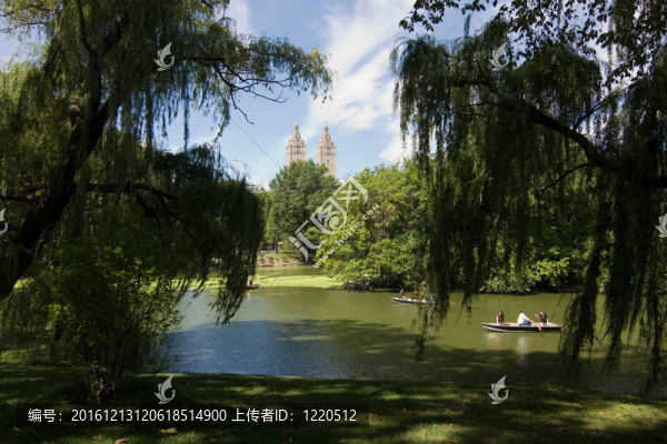 中央公園