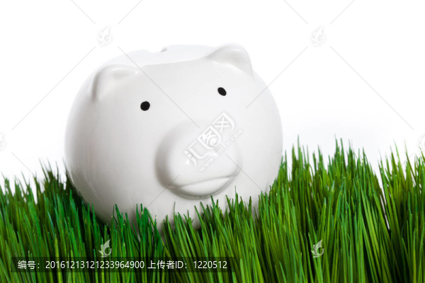 撲滿