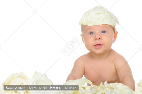 小男孩坐在白菜葉子中間