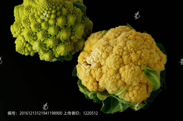菜花