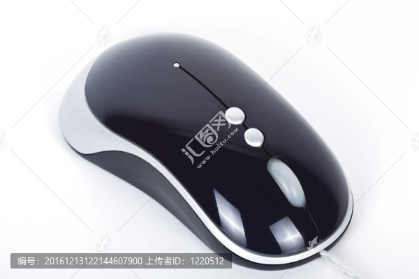 小白鼠