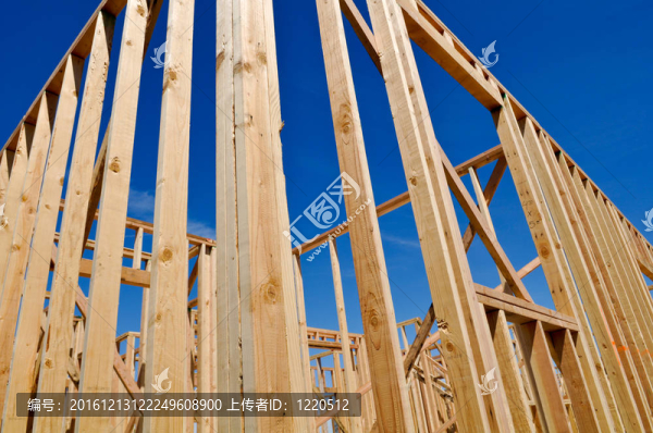 建造中的新家