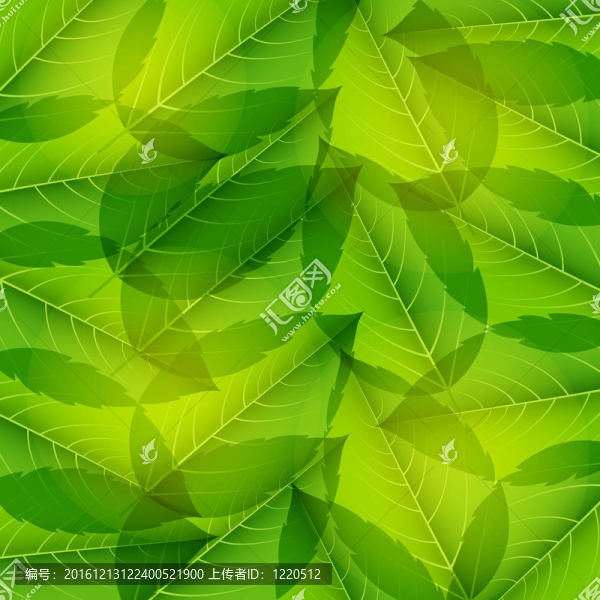綠葉無縫圖案。插畫。
