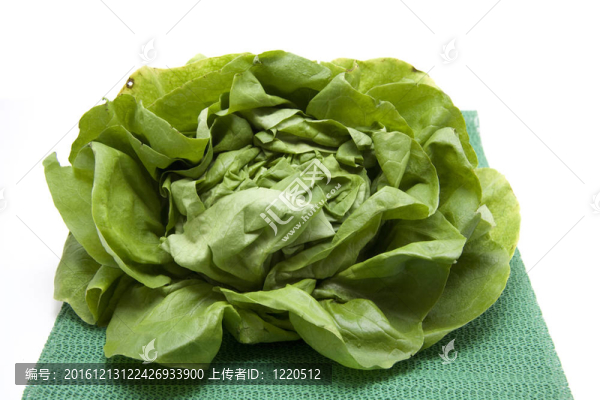 生菜墊上