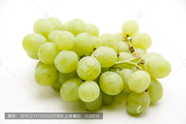 釀酒葡萄
