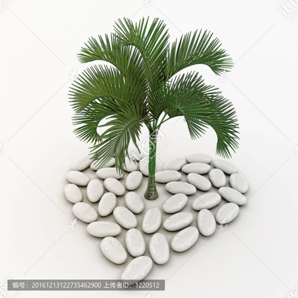棕櫚樹站在心中象征蜜月