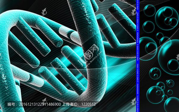 DNA