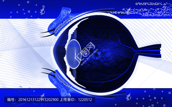 眼