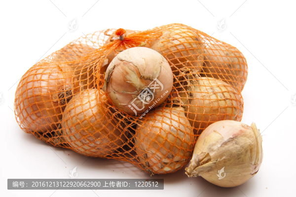 網(wǎng)中的洋蔥
