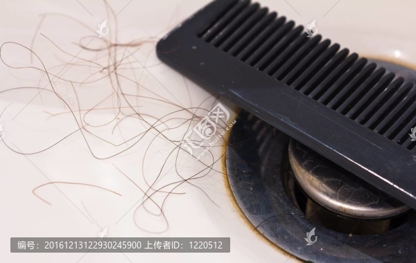 脫發(fā)的概念