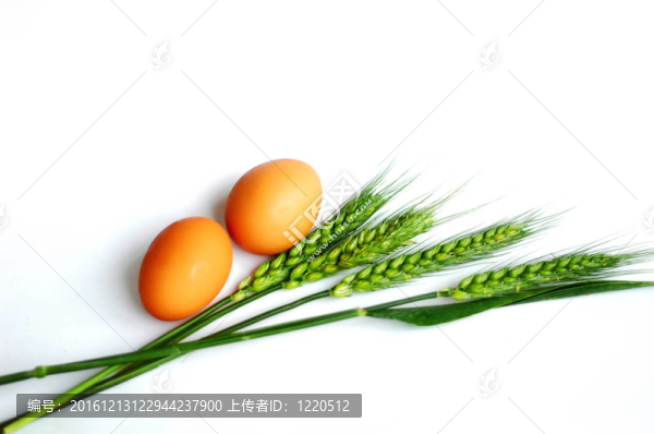 綠色麥穗和雞蛋