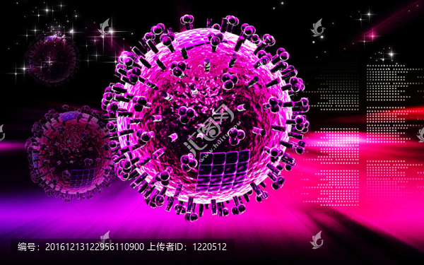禽流感病毒